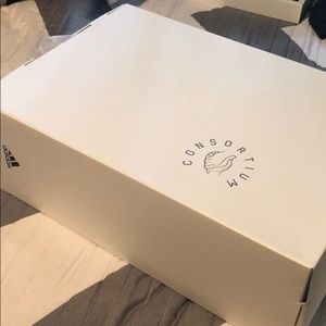 Solebox limited edition adidas pureboost for